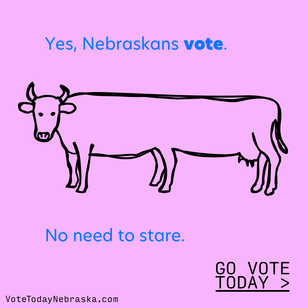 Drawing of a six-legged cow. Yes, Nebraskans vote. No need to stare.